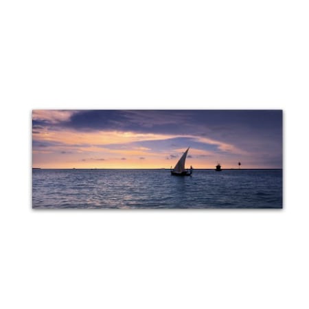 David Evans 'Dhoni Dream-Maldives' Canvas Art,6x19